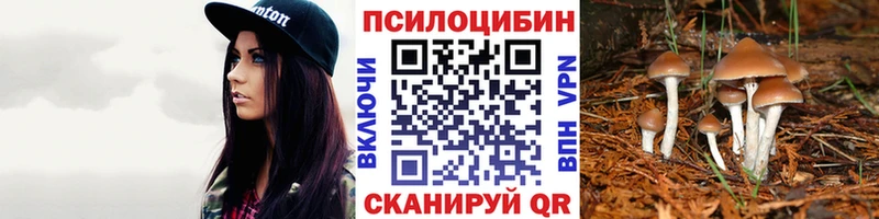 Купить где  Красноармейск  Псилоцибиновые грибы GOLDEN TEACHER 